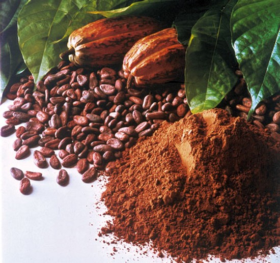 Kakaový prášek 1kg - 21 %