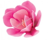 Dekorace z jedlého papíru - magnolie růžová stínovaná