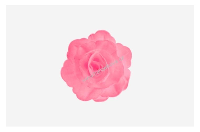 Oplatková růže střední fuchsiová stínovaná - 1 kus