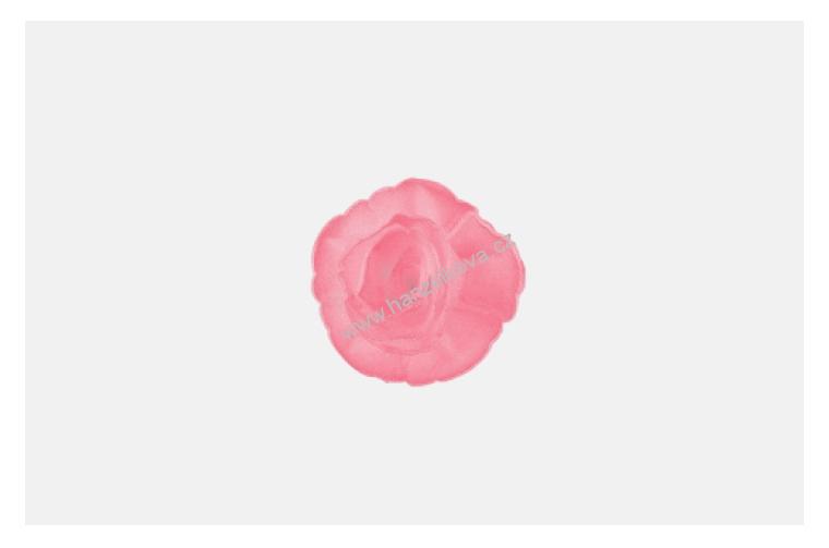 Dekorace z jedlého papíru Růže čínská malá fuchsiová stínovaná