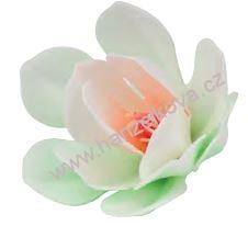Dekorace z jedlého papíru - magnolie bílá 6ks