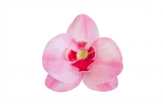Dekorace z jedlého papíru - orchidej růžová 10ks